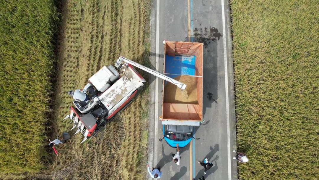 1663732651821841.jpg?x-oss-process=style/w10 1663732651821841.jpg?x-oss-process=style/w10