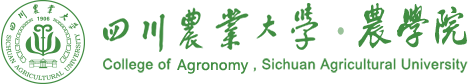 36365线路检测中心no1